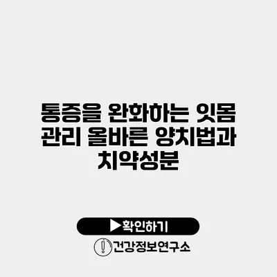 통증을 완화하는 잇몸 관리 올바른 양치법과 치약성분