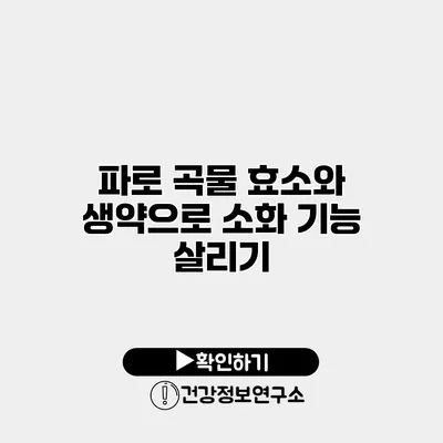 파로 곡물 효소와 생약으로 소화 기능 살리기