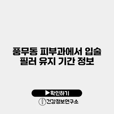 풍무동 피부과에서 입술 필러 유지 기간 정보