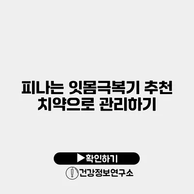 피나는 잇몸극복기 추천 치약으로 관리하기