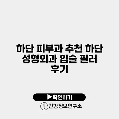 하단 피부과 추천 하단 성형외과 입술 필러 후기