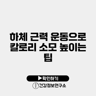 하체 근력 운동으로 칼로리 소모 높이는 팁