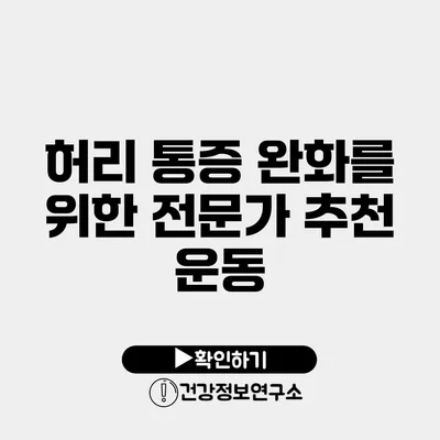 허리 통증 완화를 위한 전문가 추천 운동