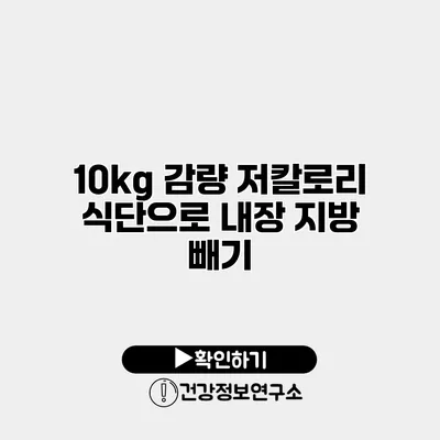 10kg 감량 저칼로리 식단으로 내장 지방 빼기