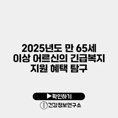 2025년도 만 65세 이상 어르신의 긴급복지 지원 혜택 탐구