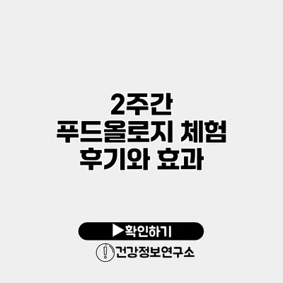 2주간 푸드올로지 체험 후기와 효과