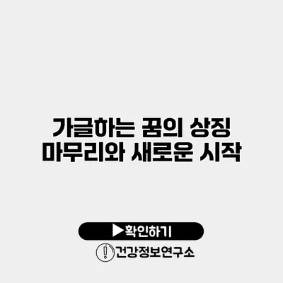 가글하는 꿈의 상징 마무리와 새로운 시작
