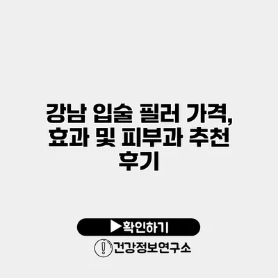 강남 입술 필러 가격, 효과 및 피부과 추천 후기