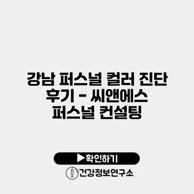 강남 퍼스널 컬러 진단 후기 - 씨앤에스 퍼스널 컨설팅