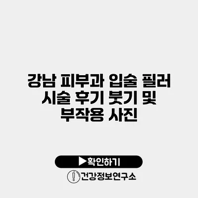 강남 피부과 입술 필러 시술 후기 붓기 및 부작용 사진