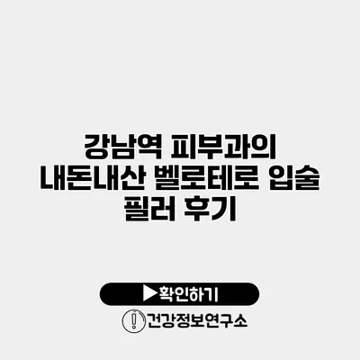 강남역 피부과의 내돈내산 벨로테로 입술 필러 후기
