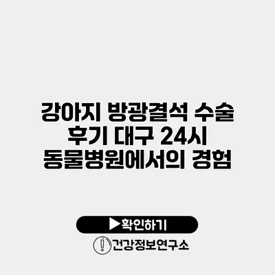 강아지 방광결석 수술 후기 대구 24시 동물병원에서의 경험