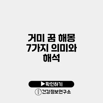 거미 꿈 해몽 7가지 의미와 해석
