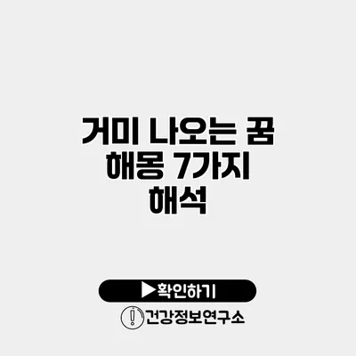거미 나오는 꿈 해몽 7가지 해석