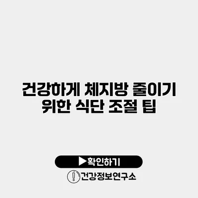건강하게 체지방 줄이기 위한 식단 조절 팁