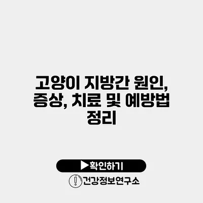 고양이 지방간 원인, 증상, 치료 및 예방법 정리