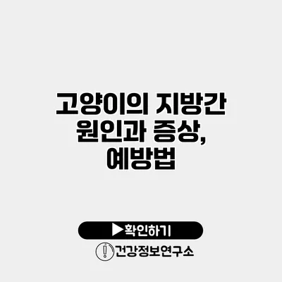 고양이의 지방간 원인과 증상, 예방법