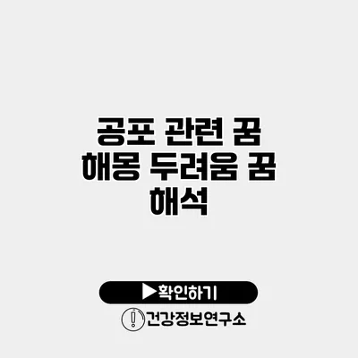 공포 관련 꿈 해몽 두려움 꿈 해석