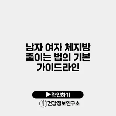 남자 여자 체지방 줄이는 법의 기본 가이드라인