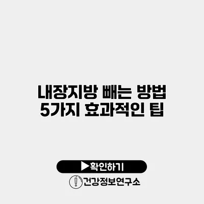 내장지방 빼는 방법 5가지 효과적인 팁