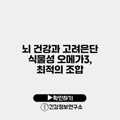 뇌 건강과 고려은단 식물성 오메가3, 최적의 조합