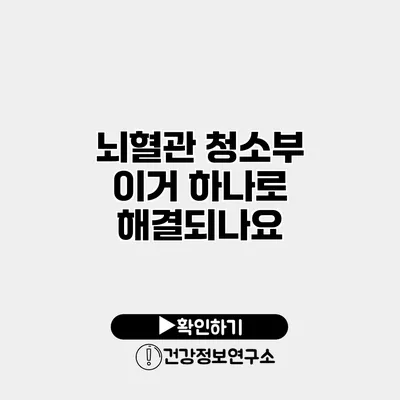 뇌혈관 청소부 이거 하나로 해결되나요?