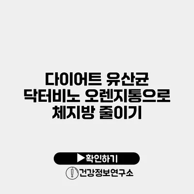 다이어트 유산균 닥터비노 오렌지통으로 체지방 줄이기