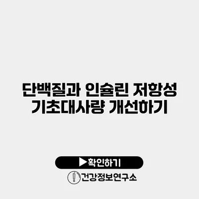 단백질과 인슐린 저항성 기초대사량 개선하기