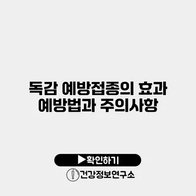 독감 예방접종의 효과 예방법과 주의사항