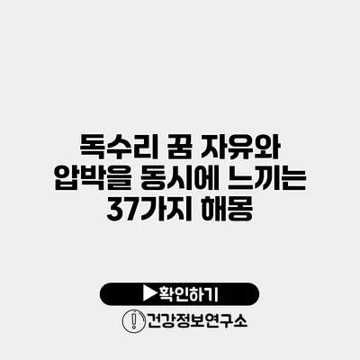 독수리 꿈 자유와 압박을 동시에 느끼는 37가지 해몽