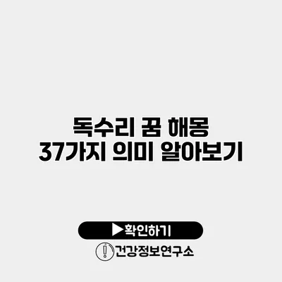 독수리 꿈 해몽 37가지 의미 알아보기