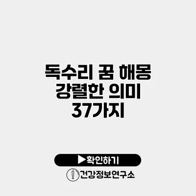 독수리 꿈 해몽 강렬한 의미 37가지