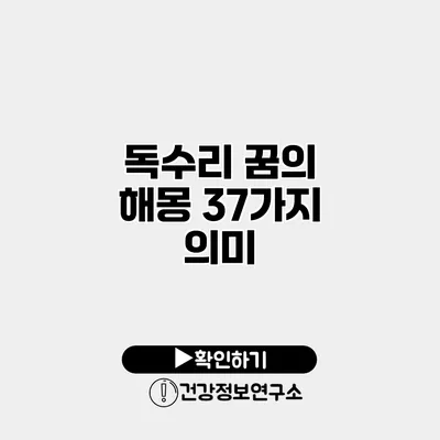 독수리 꿈의 해몽 37가지 의미