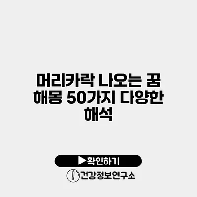 머리카락 나오는 꿈 해몽 50가지 다양한 해석