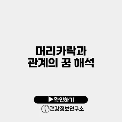 머리카락과 관계의 꿈 해석