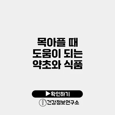 목아플 때 도움이 되는 약초와 식품