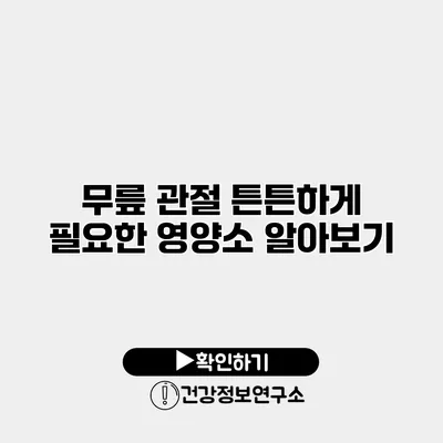 무릎 관절 튼튼하게 필요한 영양소 알아보기