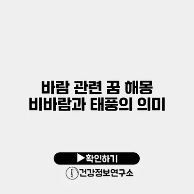 바람 관련 꿈 해몽 비바람과 태풍의 의미