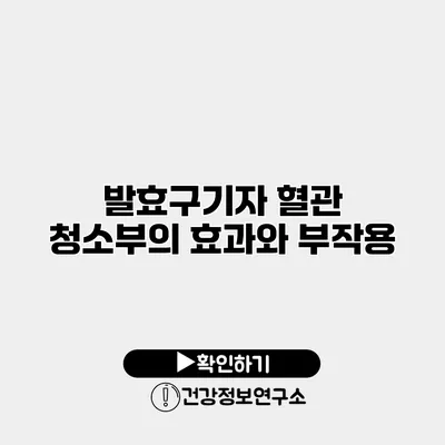발효구기자 혈관 청소부의 효과와 부작용