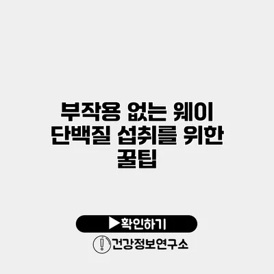 부작용 없는 웨이 단백질 섭취를 위한 꿀팁