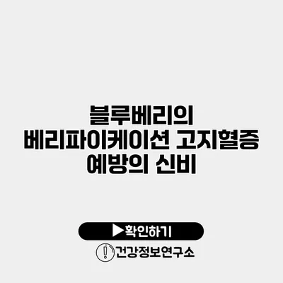 블루베리의 베리파이케이션 고지혈증 예방의 신비