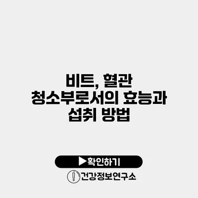 비트, 혈관 청소부로서의 효능과 섭취 방법
