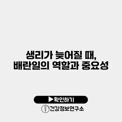 생리가 늦어질 때, 배란일의 역할과 중요성