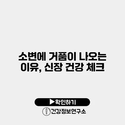 소변에 거품이 나오는 이유, 신장 건강 체크