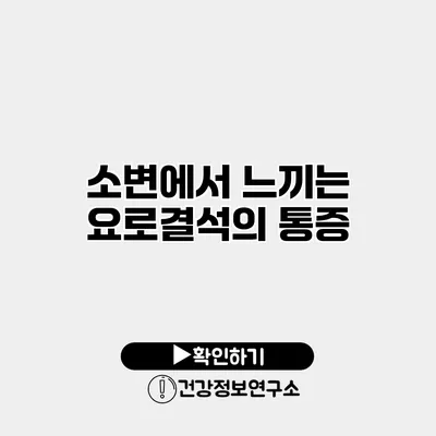 소변에서 느끼는 요로결석의 통증