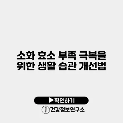 소화 효소 부족 극복을 위한 생활 습관 개선법