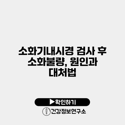 소화기내시경 검사 후 소화불량, 원인과 대처법
