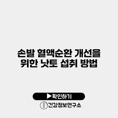 손발 혈액순환 개선을 위한 낫토 섭취 방법