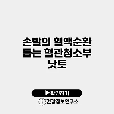 손발의 혈액순환 돕는 혈관청소부 낫토