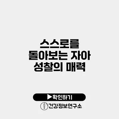 스스로를 돌아보는 자아 성찰의 매력